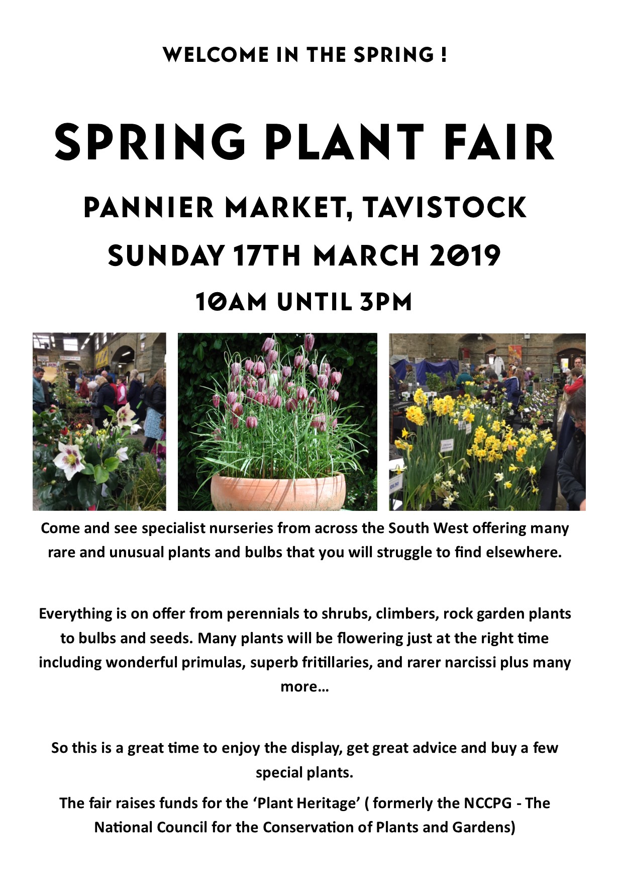 Spring Plant Fair Tavistock Town Council